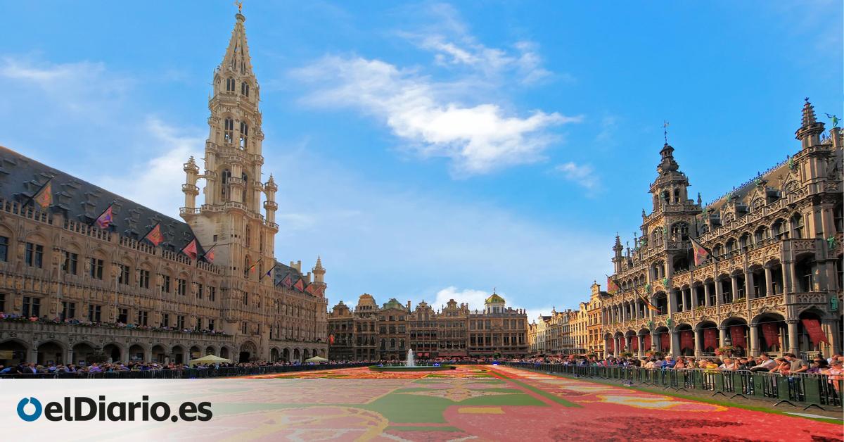 Este es el epicentro de Bruselas: la plaza bañada en oro que se tiñe con un manto de flores una vez al año