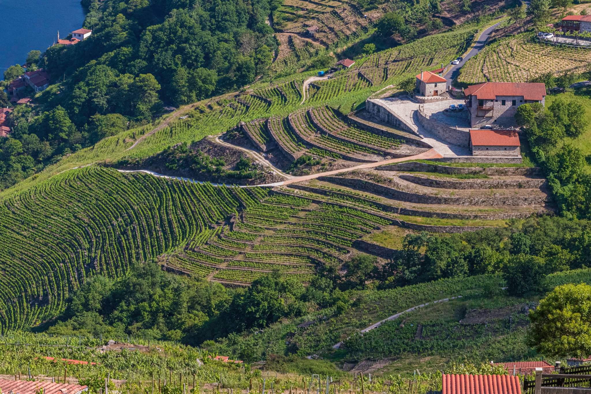 A Ruta do Viño da Ribeira Sacra celebra a boa acollida da campaña de inverno