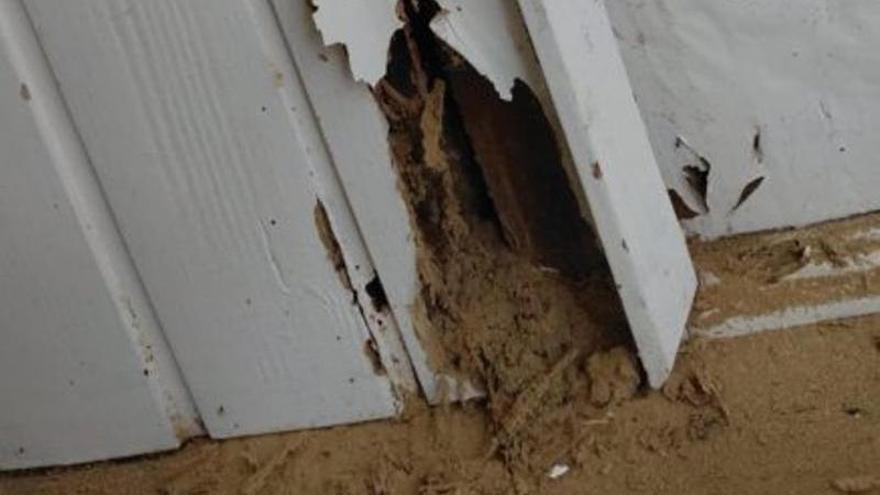 Ángeles, veciña da Coruña, ante unha praga de termitas no seu edificio: «Vívelo con angustia, temes  que os bichos esnaquicen a túa casa»