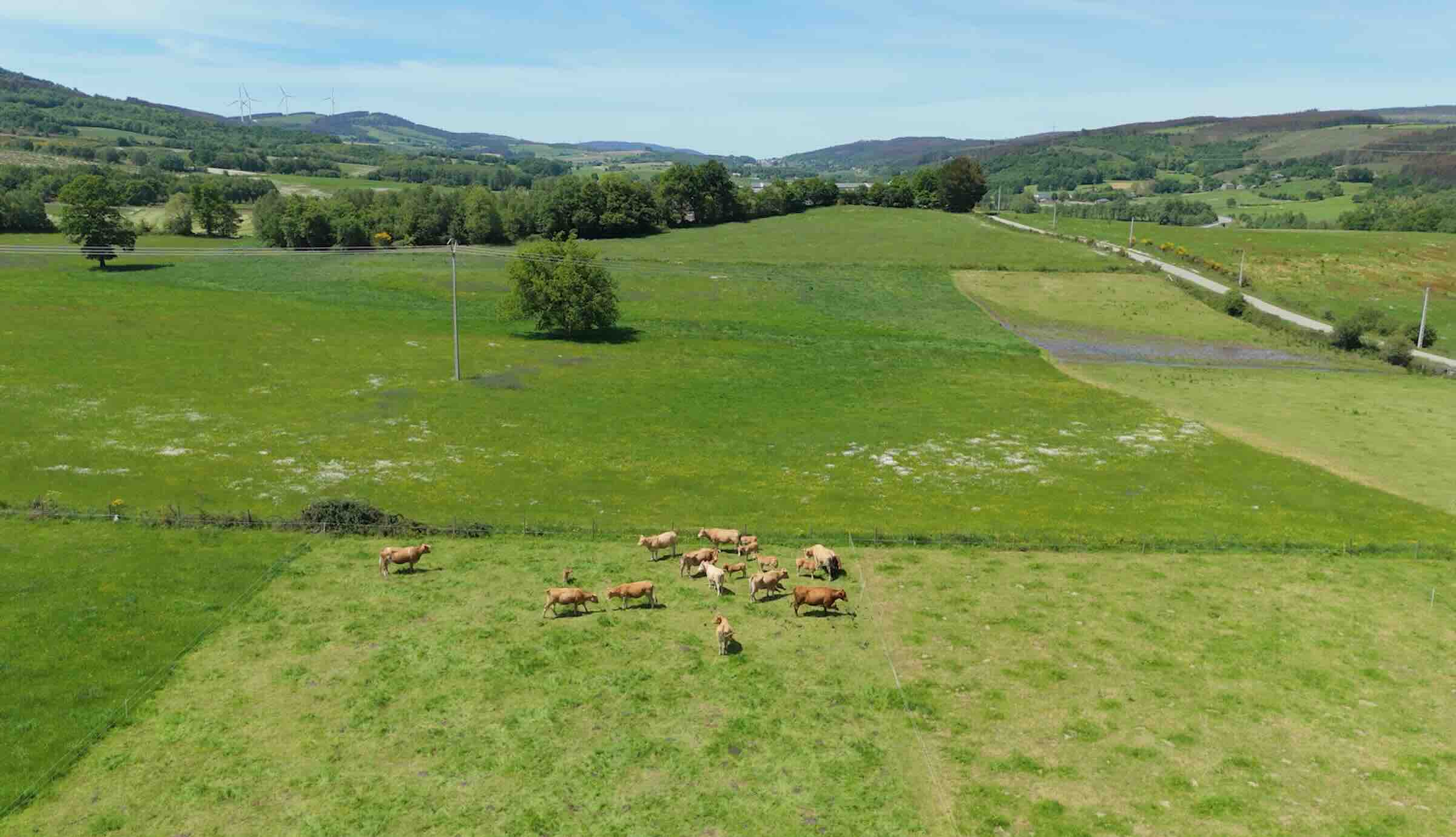 Central de Frades organiza unha xornada formativa para abordar os retos actuais da gandería