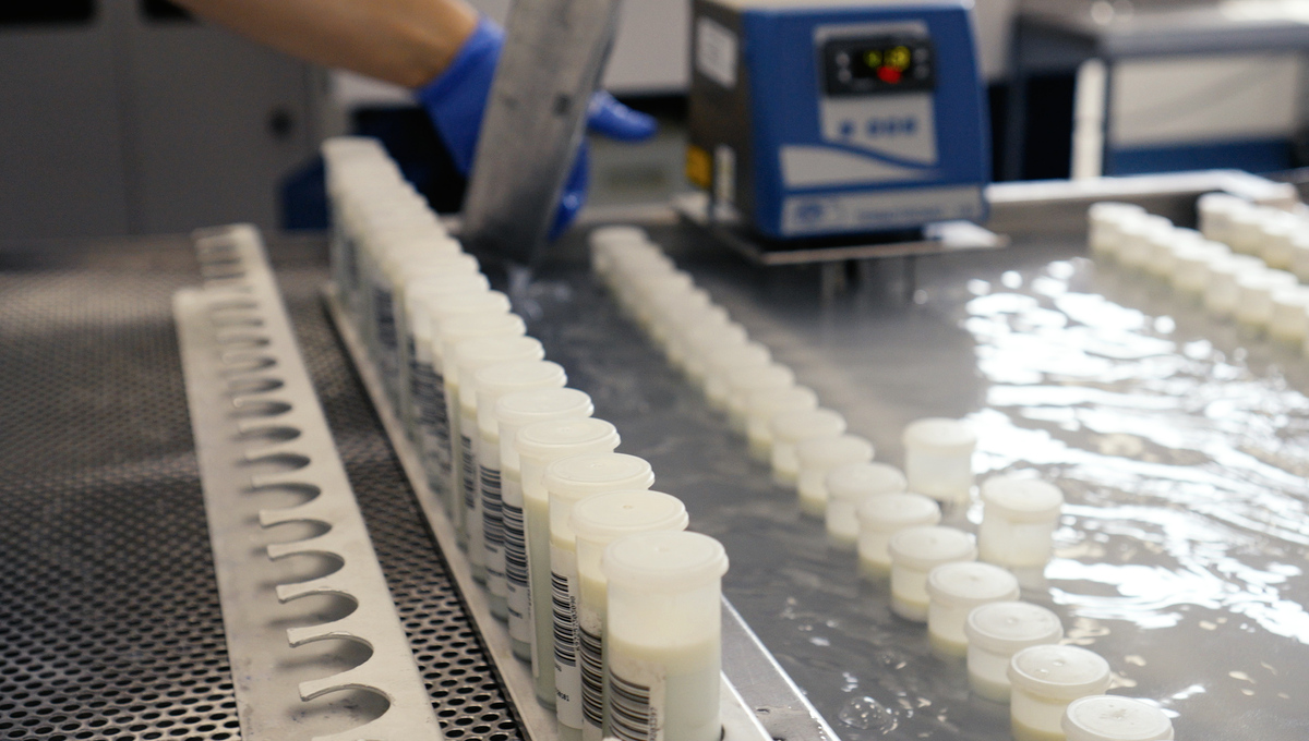 “Cando os prezos son bos, os gandeiros esfórzanse máis na calidade do leite”