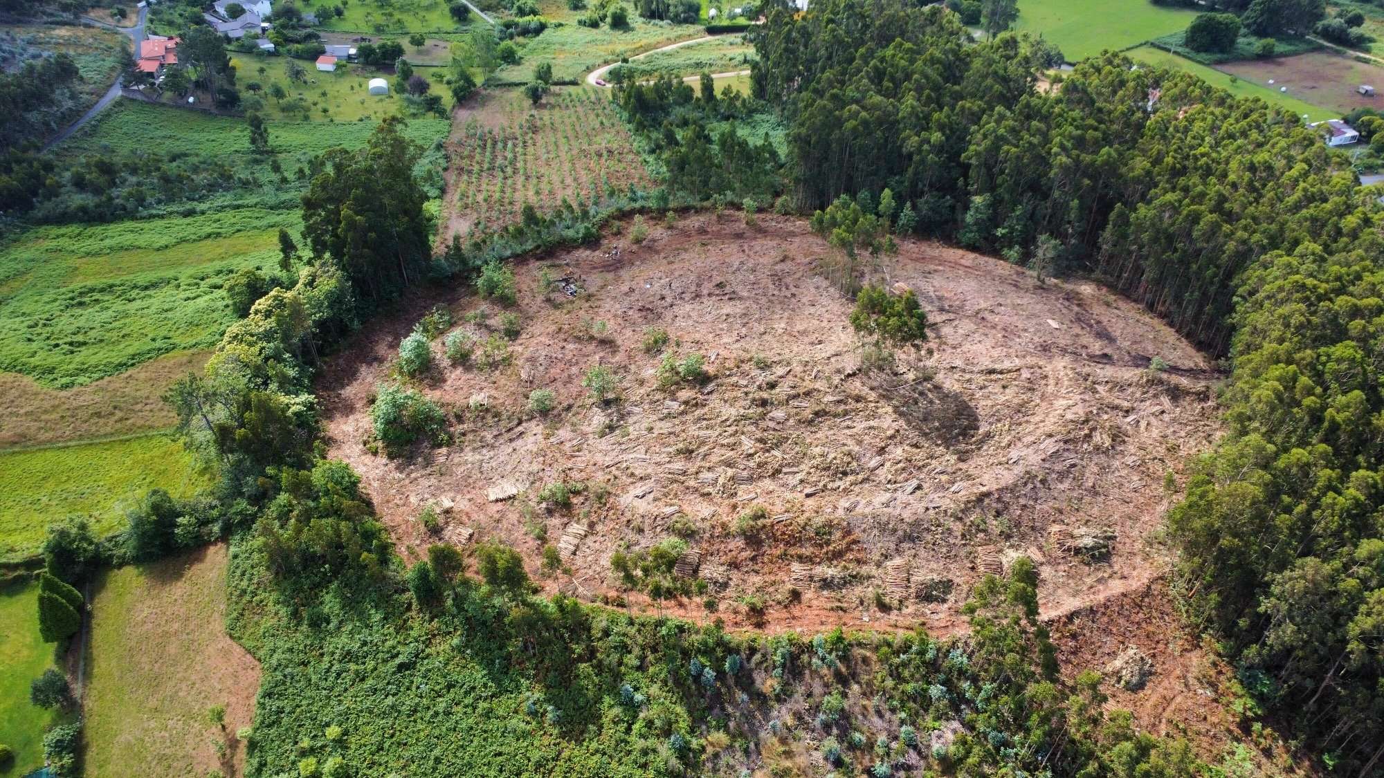 Unha rúa de hai 2.400 anos reescribe o urbanismo castrexo en Ferrol