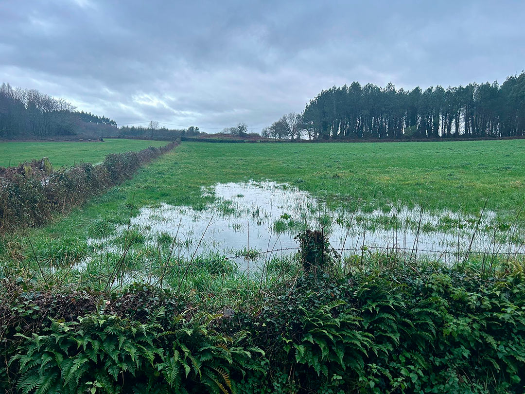 Areeiro pronostica unha primavera complicada a nivel fitosanitario e recomenda tratamentos cúpricos nas froiteiras