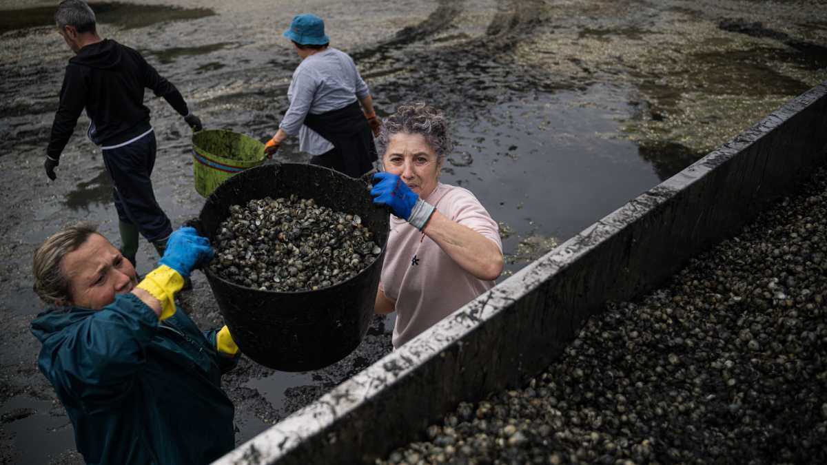 "Estamos nunha situación límite", alertan mariscadoras e confrarías