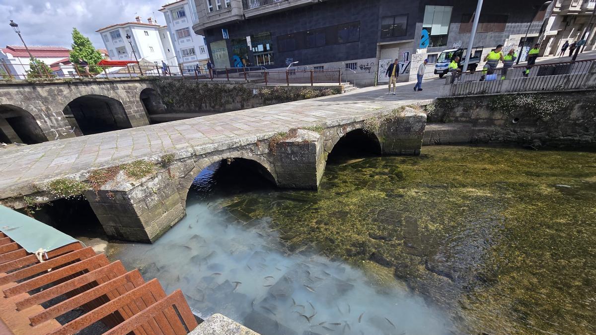 Multas millonarias para quen contamine en Galicia: ata dous millóns por danar o medio ambiente