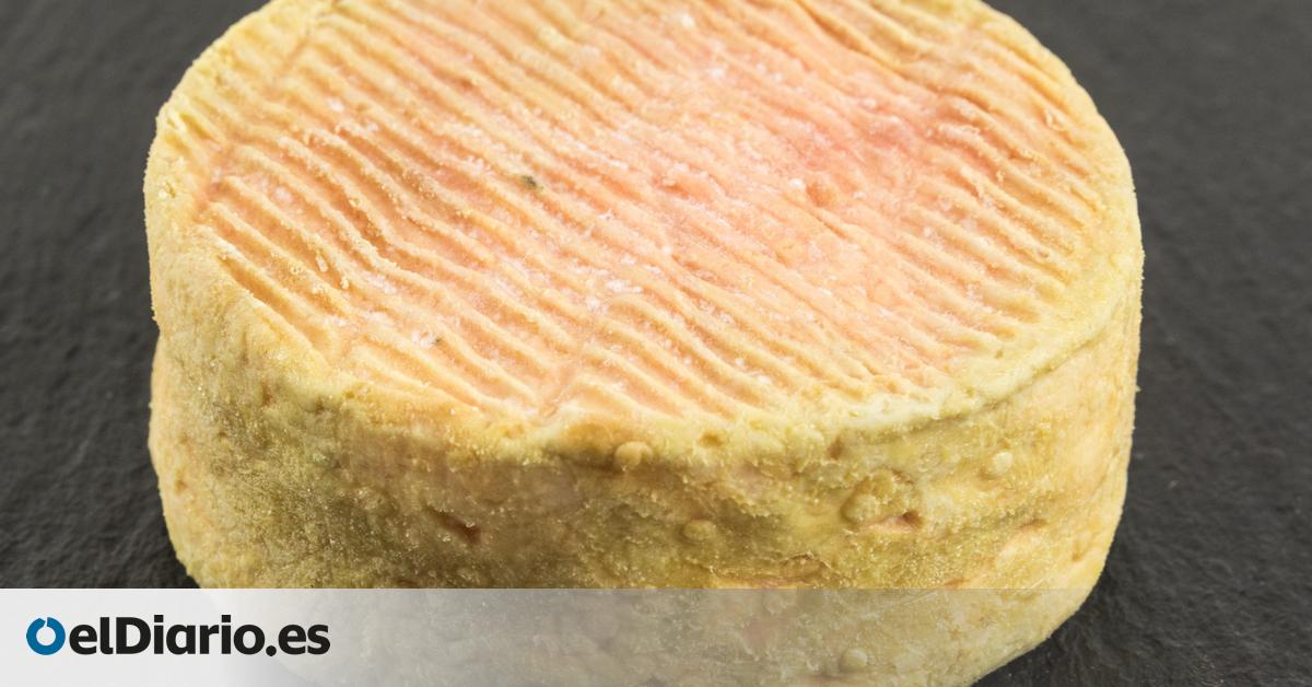 Que no te la den con queso: los cinco quesos que debes probar si viajas a Alemania