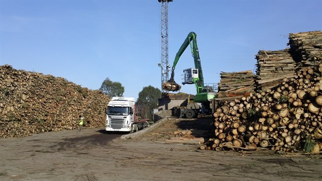 O minifundio forestal: rendibilidade fronte ao abandono dun modelo con séculos de historia