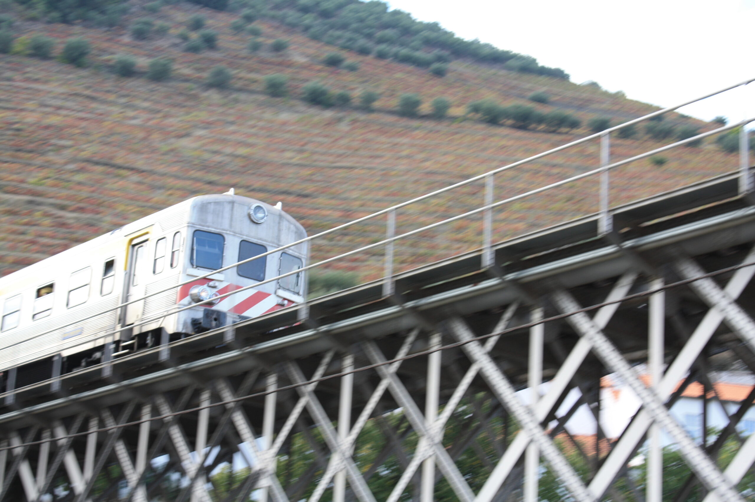 Desnortados, provincianos e novos ricos