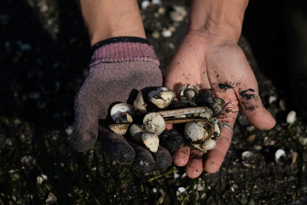 A agonía do marisqueo a pé, o caso de Vilaxoán: "O marisco non medra, non dá o talle, nunca pasou algo así"