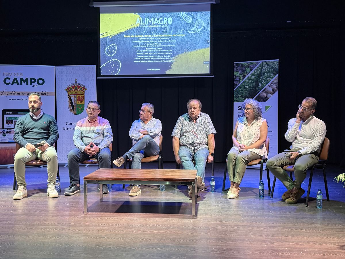 A auga e a falta de unión no sector, dous grandes problemas para os produtores de pataca en Galicia